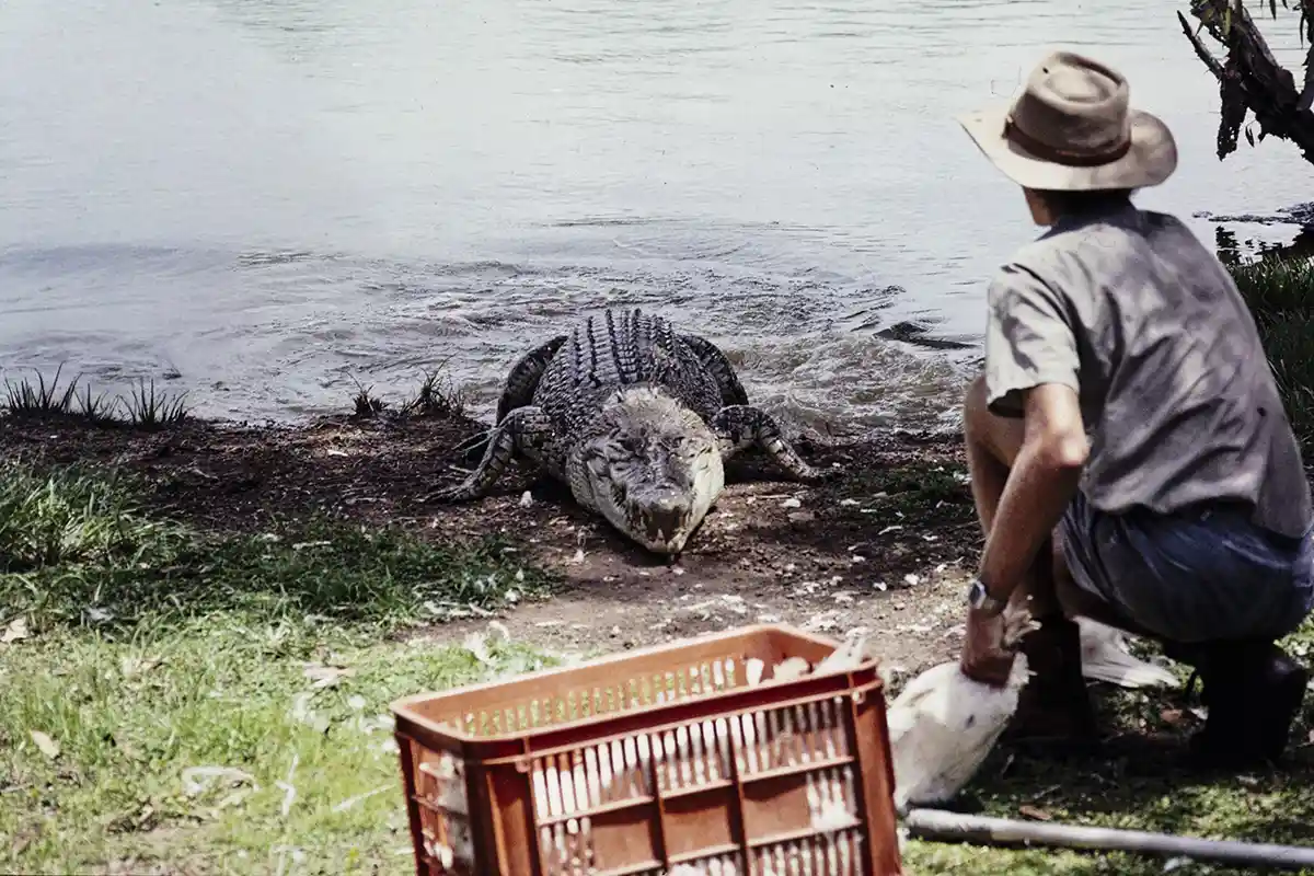 Crocodile Farm Darwin