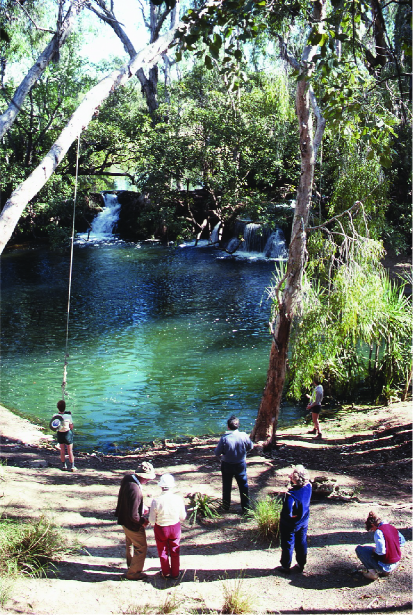 Image courtesy of Northern Territory Archives Service, Department of the Chief Minister, NTRS 3822 P1, Scenic Katherine Region, Slide 46 [Elsey Falls, 8 June 1984]