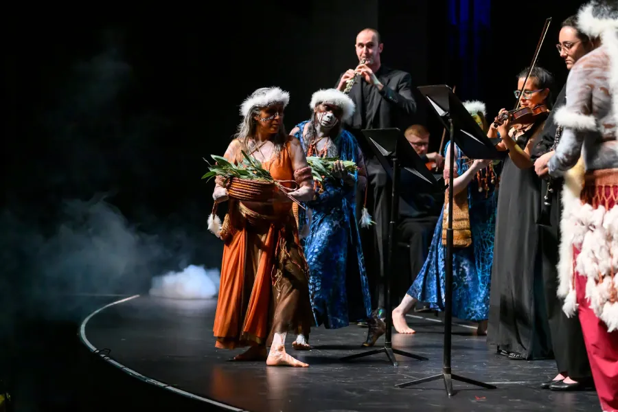 Wuyal's Journey is a large-scale collaboration commissioned and premiered by the Darwin Symphony Orchestra.